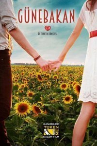 Подсолнух Подсолнух