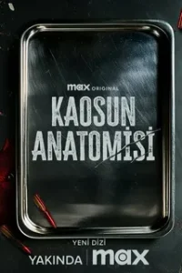 Анатомия хаоса 2025